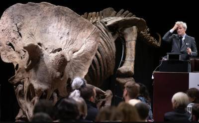 На аукционе во Франции продали скелет самого большого динозавра