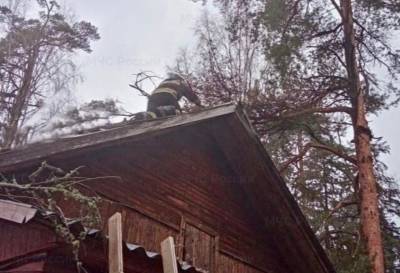 В Тверской области пожарные помогали жителям поселка, где сильный ветер повалил деревья