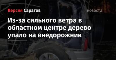 Из-за сильного ветра в областном центре дерево упало на внедорожник