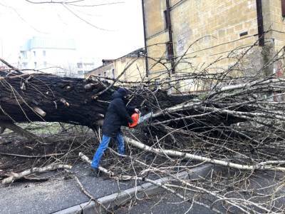 Ветер уже повалил в Петербурге первые деревья