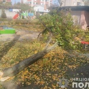 Скончалась девочка, на которую упало дерево в детсаду в Кременчуге