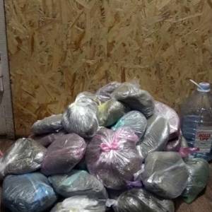 У жителя Запорожской области изъяли наркотики на полмиллиона гривен. Фото