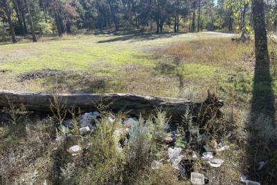 Восемь километров береговой зоны реки Усманка в Воронежской области очистили от мусора