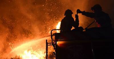 14 человек погибли при пожаре на пороховом заводе в Рязанской области