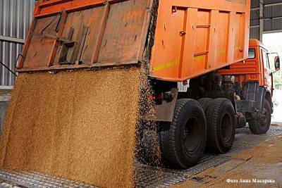 Курганское предприятие накажут за грубое нарушение правил перевозки зерна