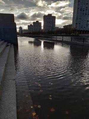 В Петербурге ураган валит деревья, а реки выходят из берегов