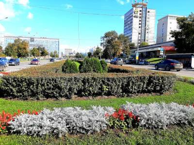 В Пермском крае объявляются нерабочие дни с 25 октября по 7 ноября
