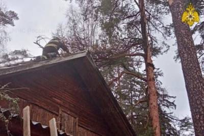 В Тверской области пожарные помогли убрать упавшее на дом дерево