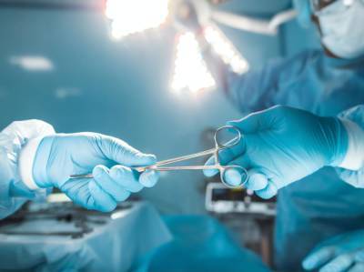 Американские хирурги впервые успешно пересадили свинную почку человеку