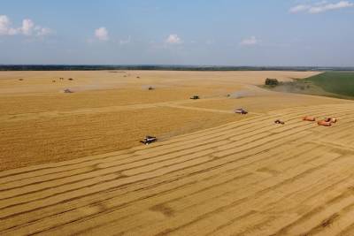 Липецкая область – лучший регион России по стабильности развития агропромышленного комплекса