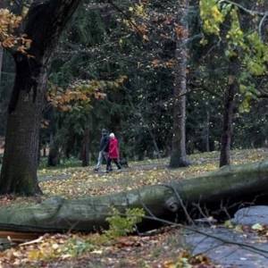 В Чехии 300 тысяч домов остались без света из-за урагана