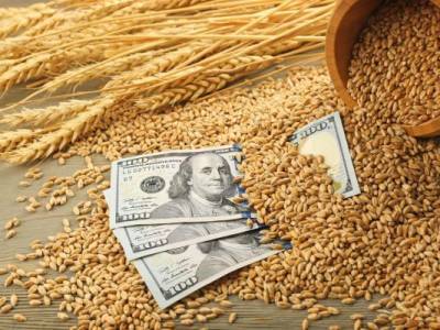 Россия снова поднимет пошлину на экспорт пшеницы