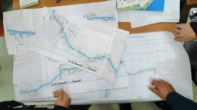 Проект по восстановлению естественного русла Наревки в Беловежской пуще готовят к реализации
