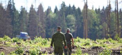 На севере Карелии геологи дали взятку лесничему и стали фигурантами уголовного дела