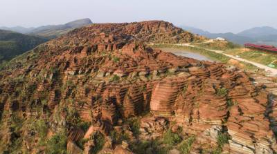 ФОТОФАКТ: История Красного каменного леса насчитывает 500 млн лет
