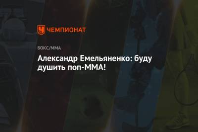 Александр Емельяненко: буду душить поп-ММА!