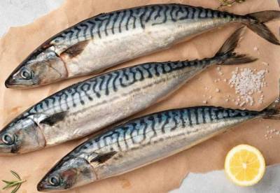 Ученые назвали полезную рыбу для снижения воспаления в организме