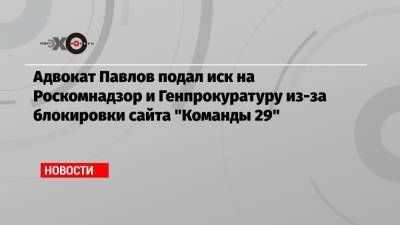 Адвокат Павлов подал иск на Роскомнадзор и Генпрокуратуру из-за блокировки сайта «Команды 29»