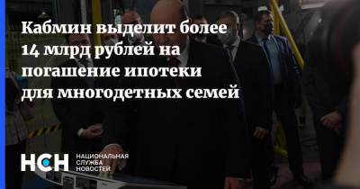 Михаил Мишустин - Кабмин выделит более 14 млрд рублей на погашение ипотеки для многодетных семей - nsn.fm - Россия