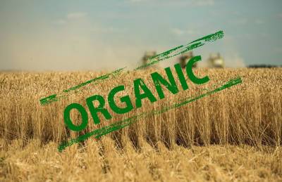 Агротрейд получил возможность поставлять органическую продукцию в США и Канаду