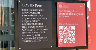 Собянин высказался о сроках действия системы QR-кодов в музеях и театрах