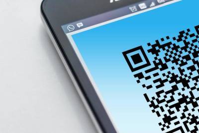 За проверкой QR-кодов граждан в Йошкар-Оле будут следить рабочие группы