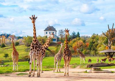 Посетительница завещала Пражскому зоопарку 17 млн крон