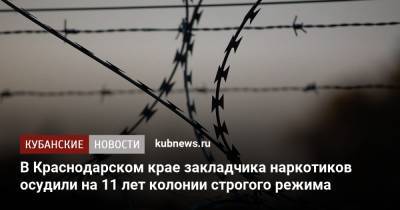 В Краснодарском крае закладчика наркотиков осудили на 11 лет колонии строгого режима