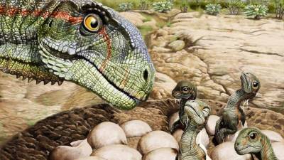Интересный факт дня: Динозавры были стадными животными