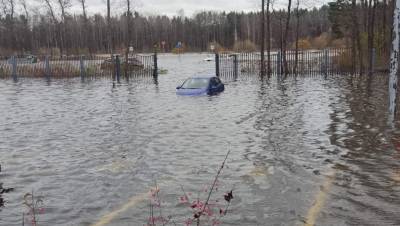 В Сестрорецке из-за шторма под воду ушли машины на парковке и пляжи - dp.ru - Санкт-Петербург - Сестрорецк