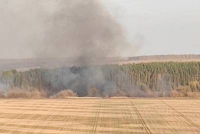 Воронежцы стали свидетелями того, как в Кривоборье специально подожгли лесопосадки