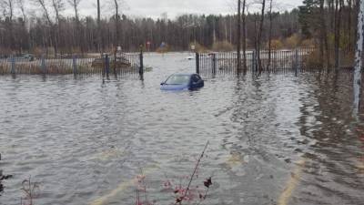 Аквамена вам в хату: пригороды Петербурга ушли под воду