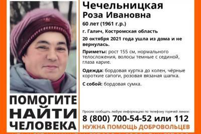 Костромские поисковики из отряда «Лиза Алерт» ищут кареглазую пенсионерку из Галича