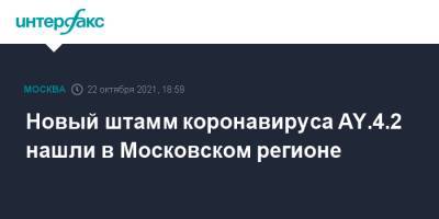 Новый штамм коронавируса AY.4.2 нашли в Московском регионе