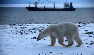 Евросоюз хочет запретить добычу углеводородов в Арктике, Россия против