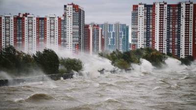 Ветер в акватории Финского залива в Петербурге усилился до ураганных 33 м/с