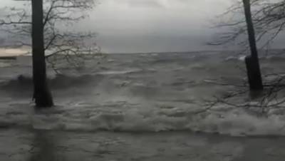 Жители Кронштадта засняли страшные волны у форта в Финском заливе