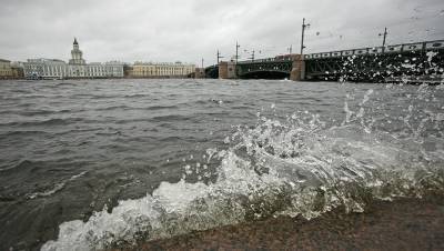 Последствия шторма, Апрашка на торгах и резкое повышение ставки: Петербург 22 октября