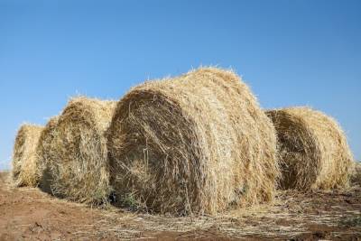 Ночью в Волгоградской области почти 3 часа тушили 16 тонн сена