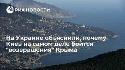 Экс-министр Червоненко: украинские власти не хотят "возвращения" Крыма и Донбасса