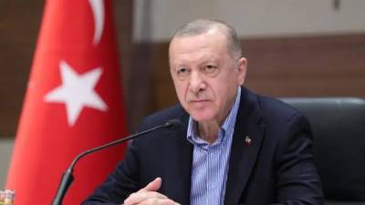 Эрдоган готов выслать из Турции послов США, Германии и других западных стран