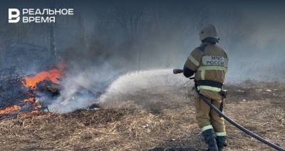 В Татарстане за неделю зарегистрировали 60 природных пожаров