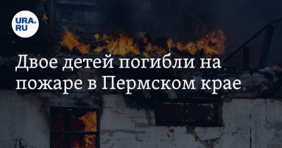 Двое детей погибли на пожаре в Пермском крае