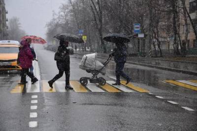 Синоптик Вильфанд предупредил о дожде и мокром снеге в Москве в выходные