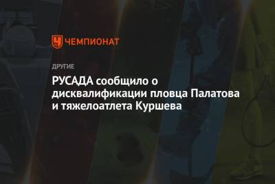 РУСАДА сообщило о дисквалификации пловца Палатова и тяжелоатлета Куршева