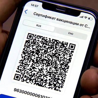 QR-коды для посещения учреждений культуры и спорта вводят в Забайкальском крае с 25 октября