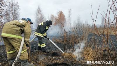 Торфяник у Солнечного продолжает тлеть: его тушат 276 пожарных