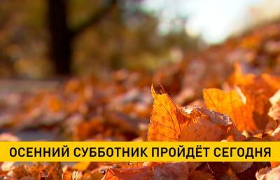 23 октября в Минске проходит осенний субботник