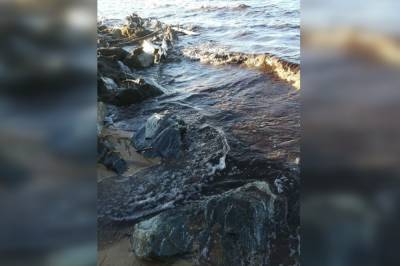 На поверхности озера Байкал обнаружили чёрные пятна