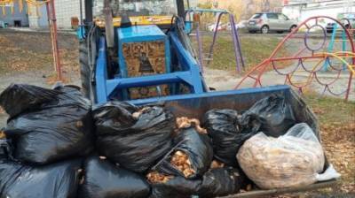 Из одного района Пензы за день на свалку вывезли 54 кубометра мусора